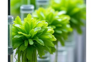 水が循環するパイプと植物の根元が鮮明に見えるハイドロポニック垂直ガーデンのクローズアップ。清潔感とテクノロジーが感じられる